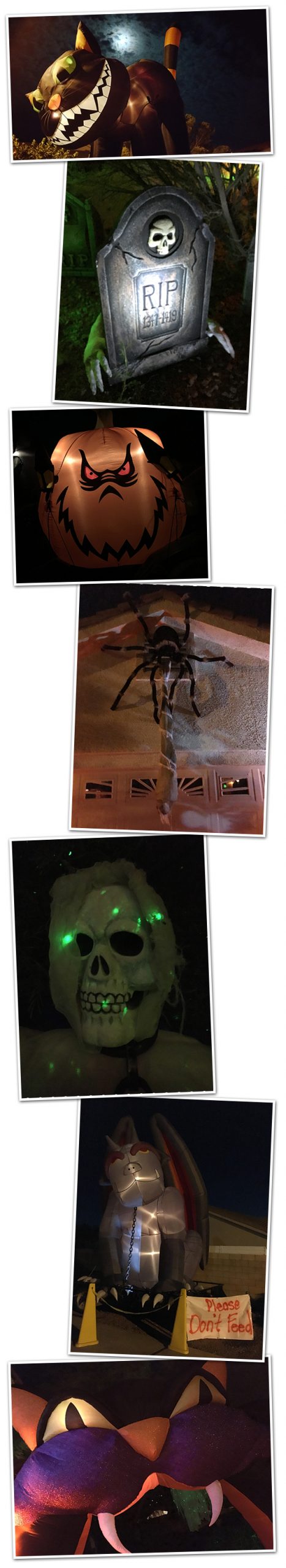 Cat Halloween House Decorations in Boulder City, Nevada