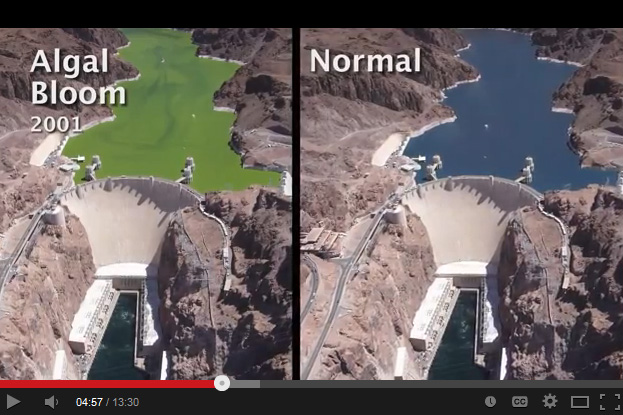 Lake Mead: Clear & Vital Video