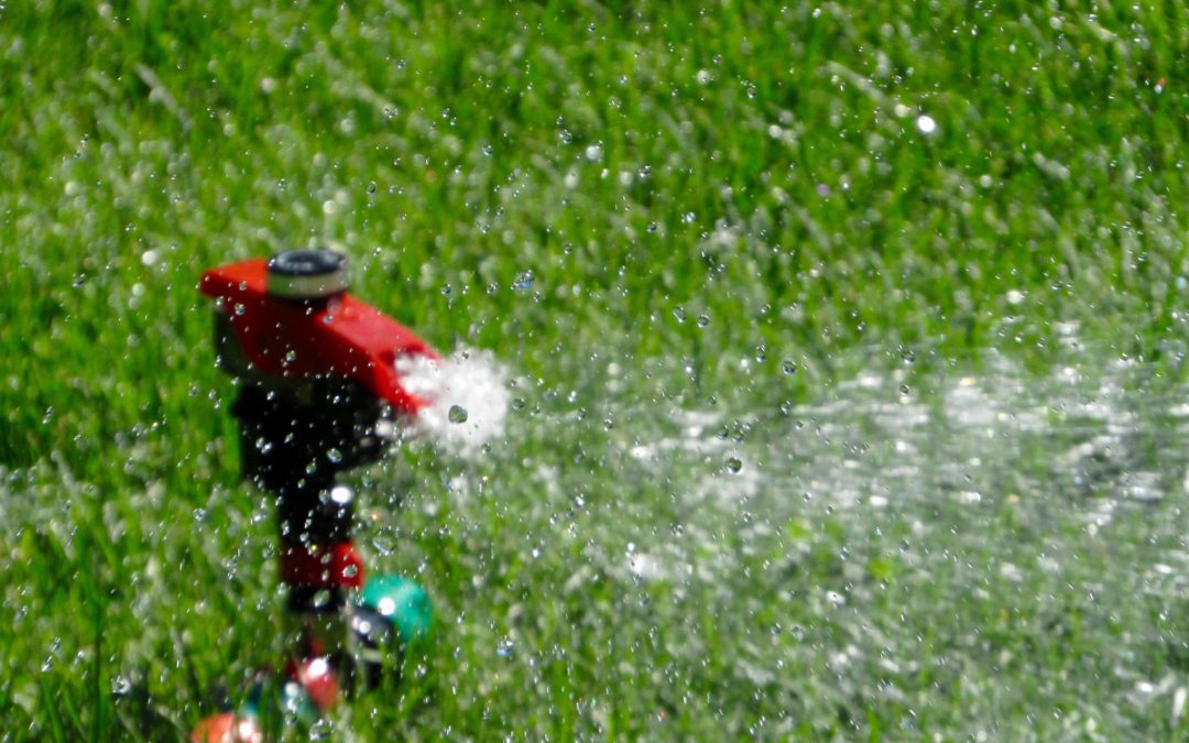 New Watering Restrictions in Boulder City