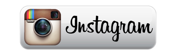Instagram Logo Button