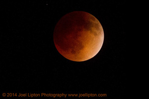 Lunar Moon by Joel Lipton Photography