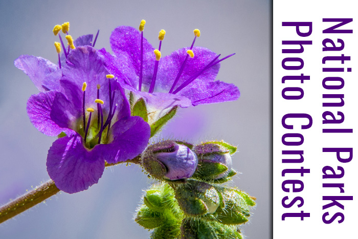 2016 National Parks Photo Contest
