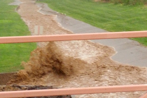 Photos from Wednesday's Rain Storm