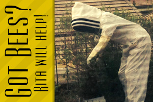 Got Bees? Call Rita Bowman!