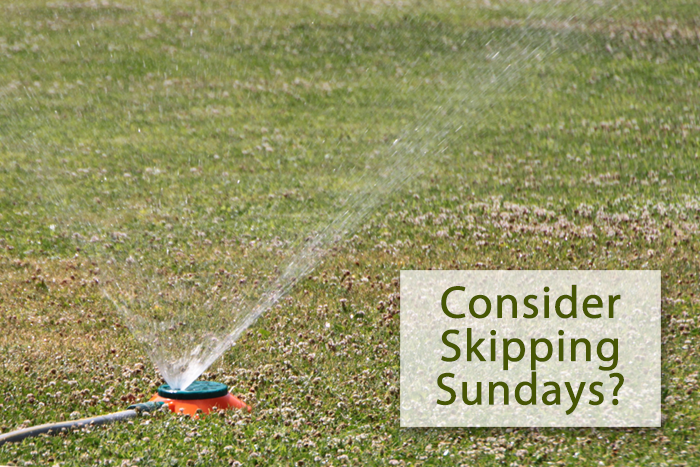 SNWA Suggests We Skip Sunday Watering