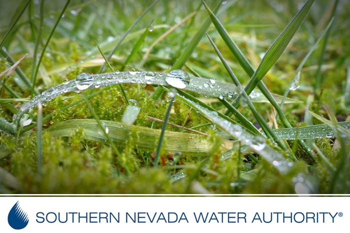 Summer Watering Schedule Now In Effect