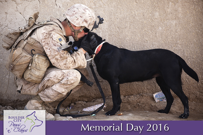 We Salute You ... Sometimes With A Kiss