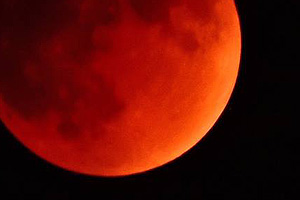 Last Night's Super Harvest Blood Moon