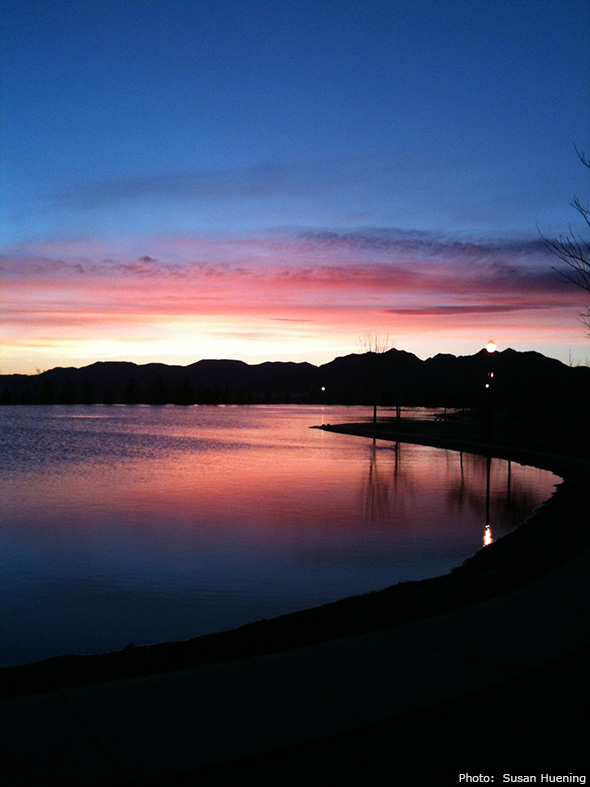 Fan Photo by Susan Huening in Boulder City, NV