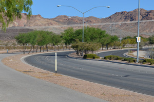 Tree Removal Along Veterans' Memorial Dr.
