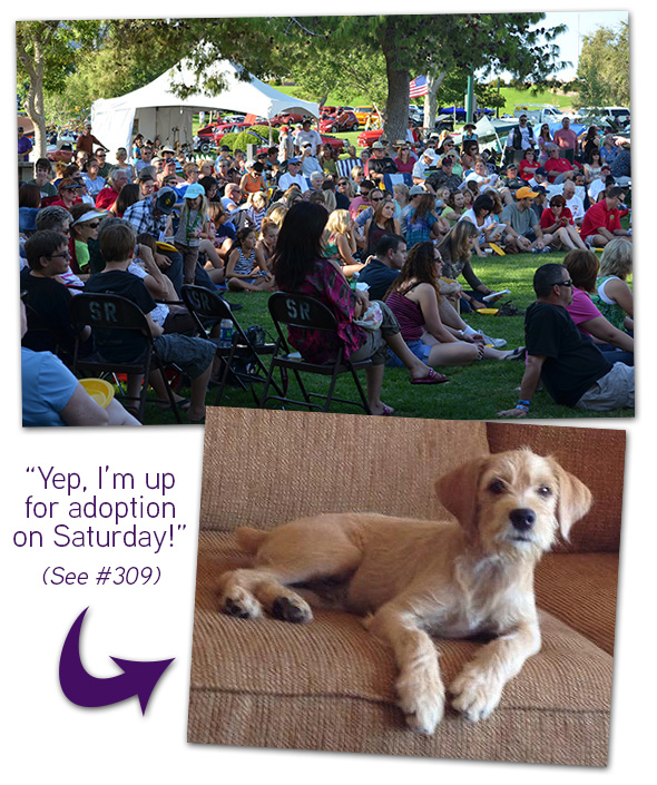 Wurstfest Live Auction Crowd 2012 in Boulder City, Nevada