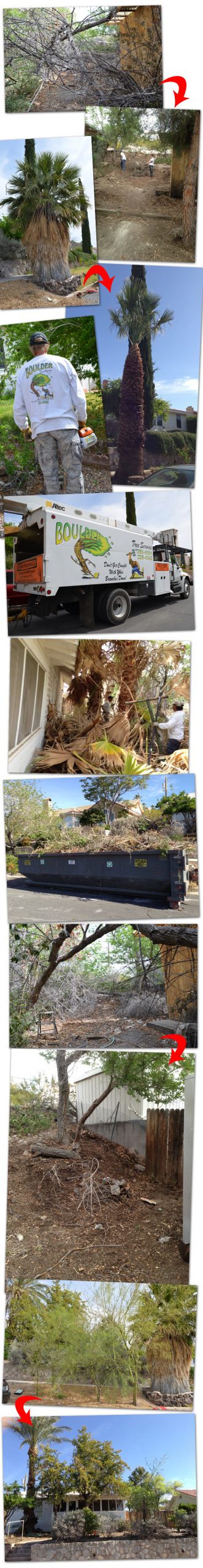 Yard Cleanup 2013 in Boulder City, Nevada