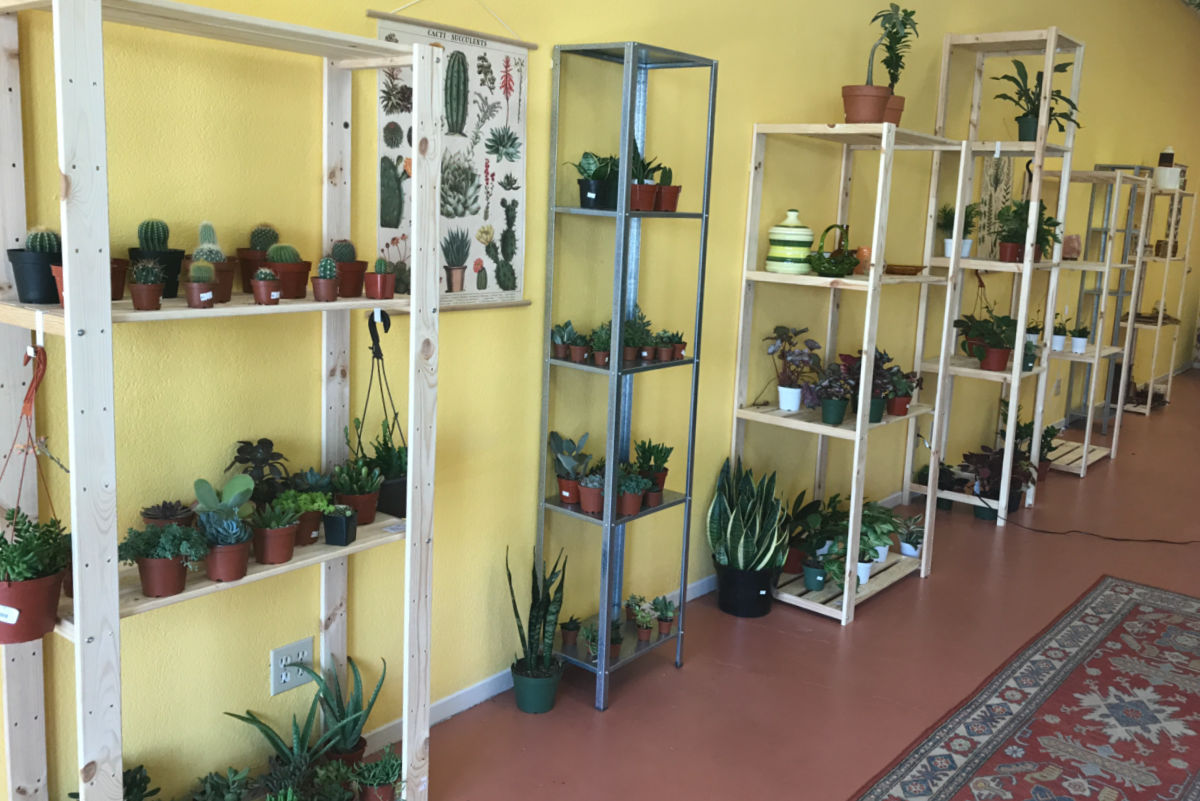IronPlantStore.jpg