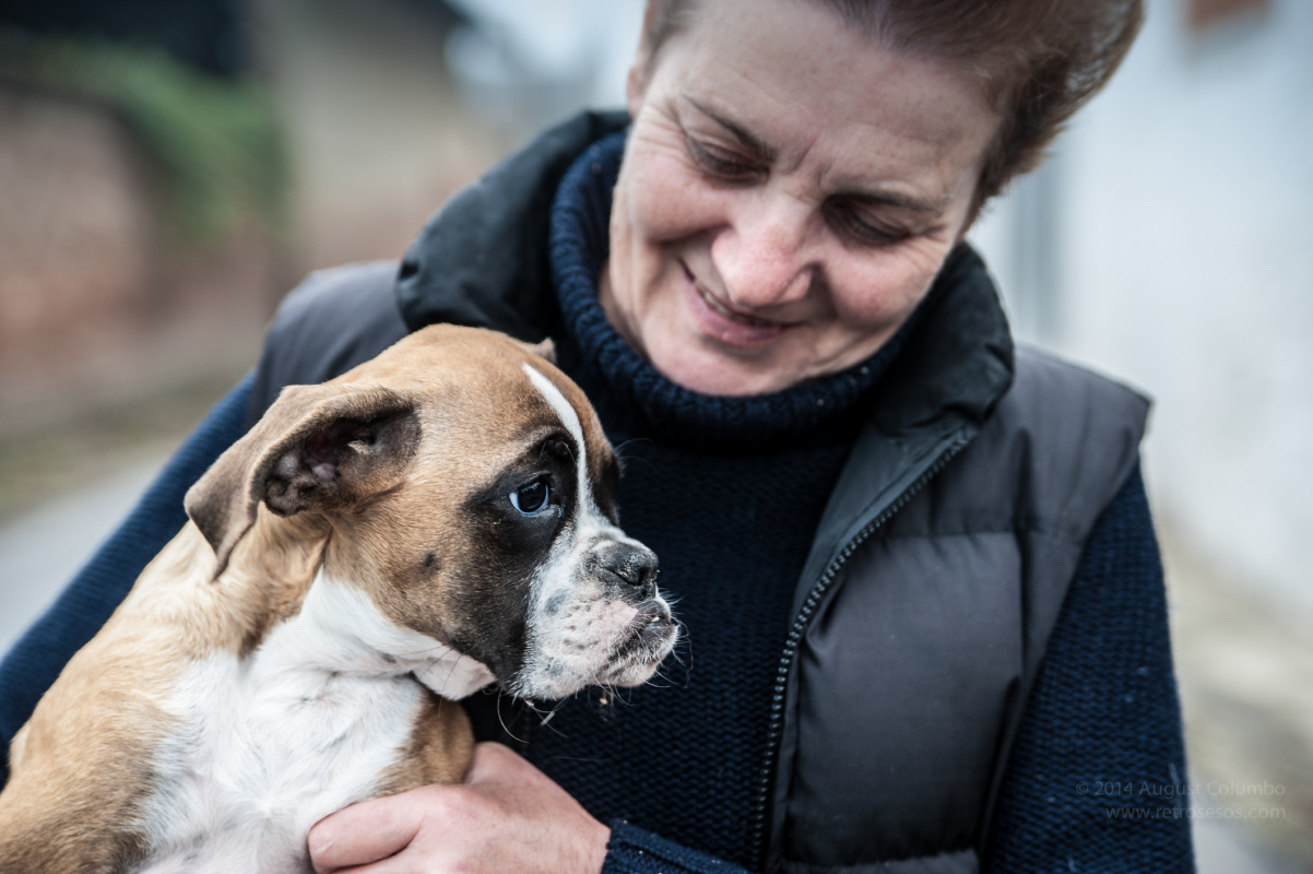 Pet Blessing at Wilbur Square Park Today