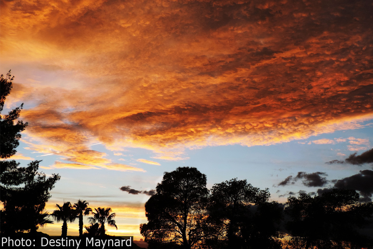 Fan Photo: Sunscape by Destiny Maynard
