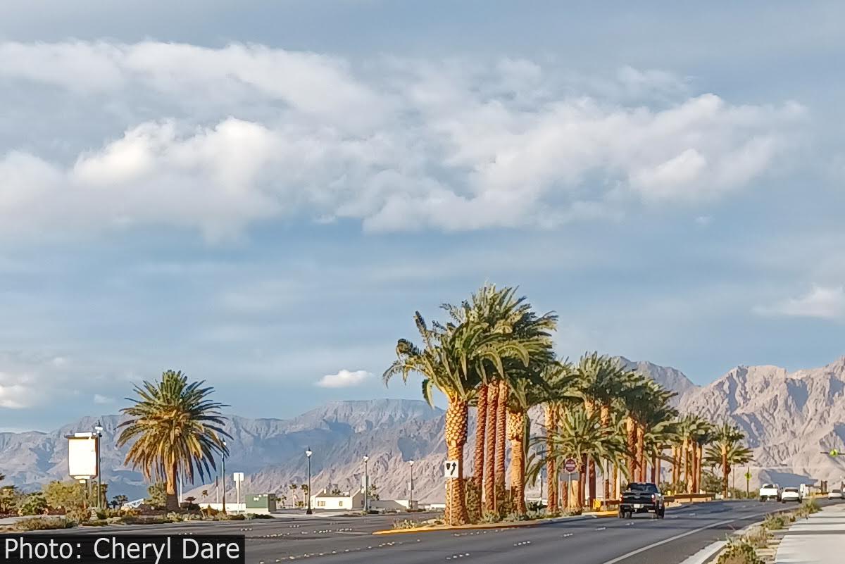 Fan Photo: Mountain Views by Cheryl Dare