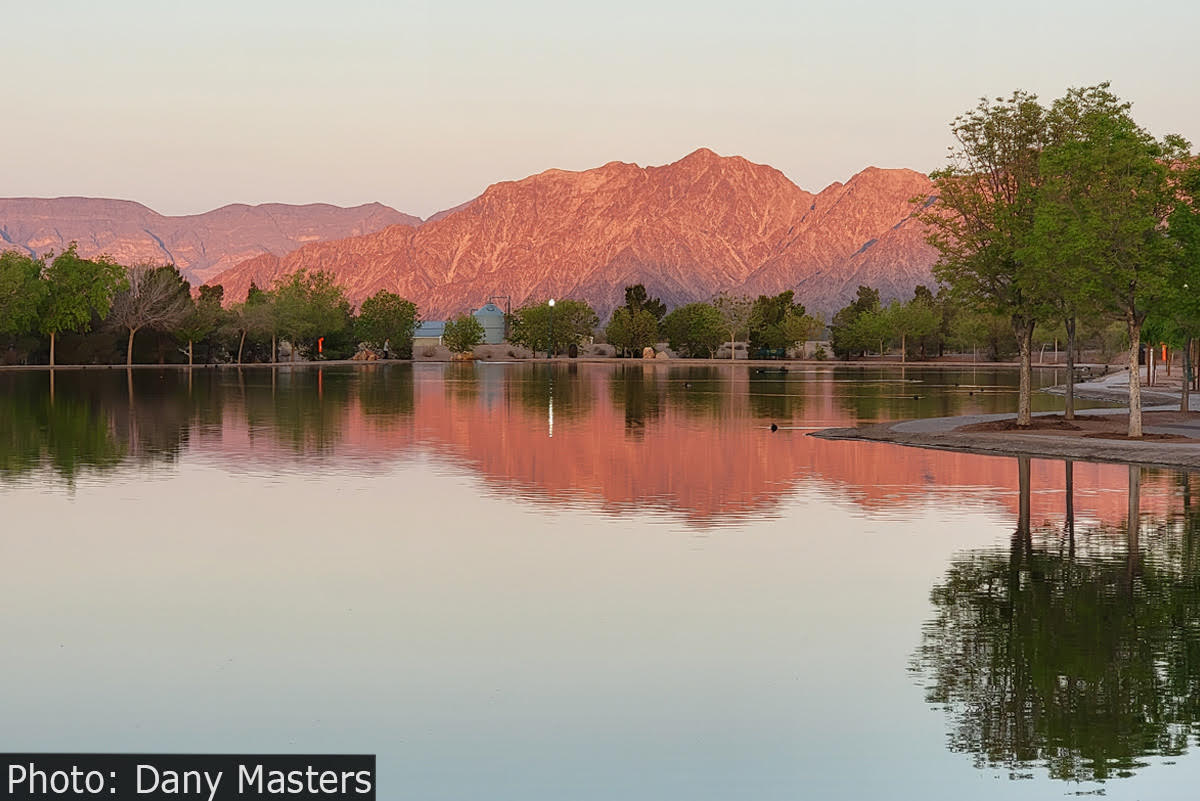 Fan Photo: Sunrise Glow by Dany Masters
