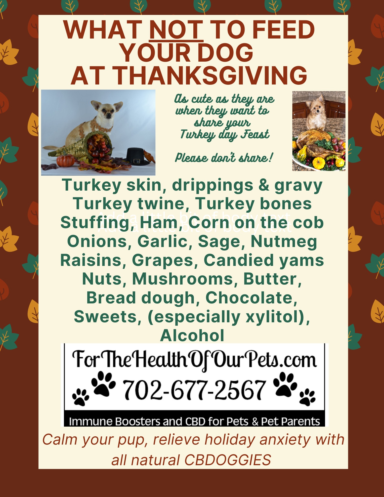 Health of Pets Thanksgiving Boulder City, NV