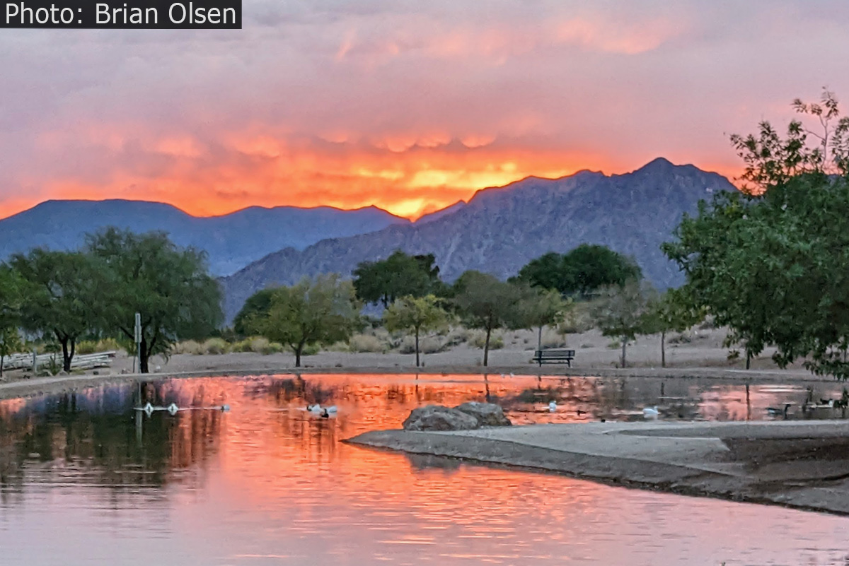 Fan Photo: Serene Scene by Brian Olsen