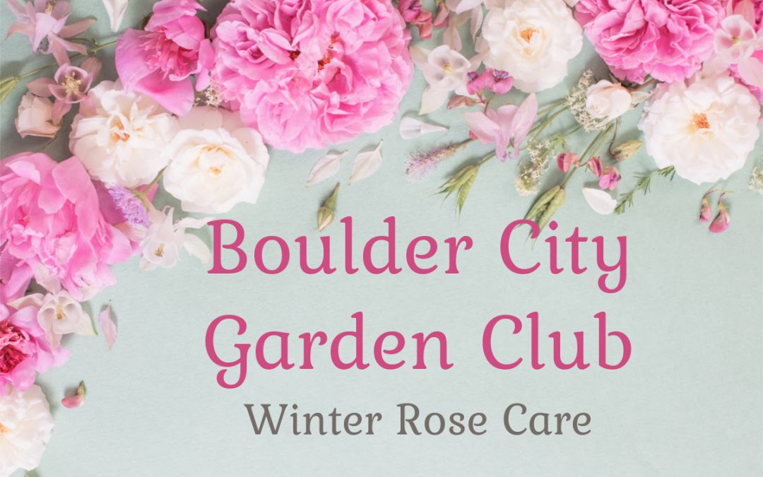 Winter Rose Care Lecture February 1