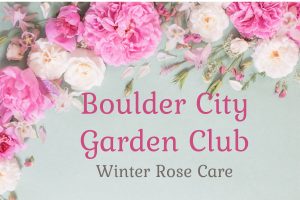 Boulder City Nevada Garden Club