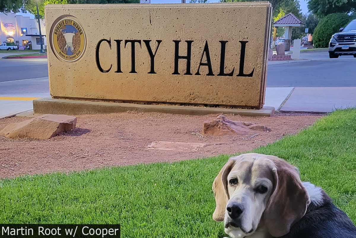 Fan Photo: Cooper Hits the Town by Martin Root