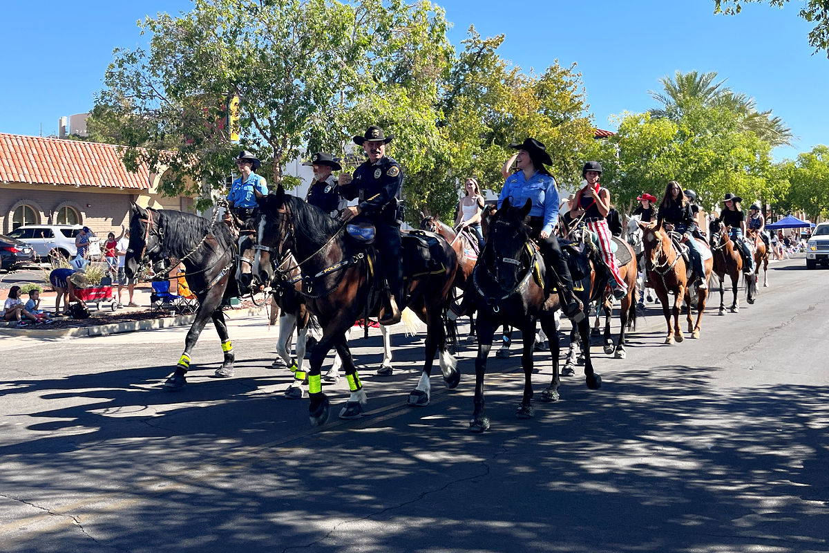 Damboree Parade Application Available Now