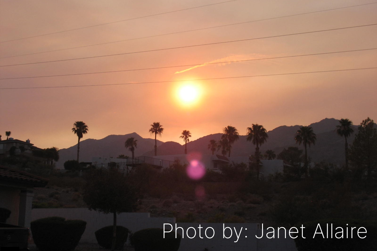 Fan Photo: Sunset Vibes by Janet Allaire