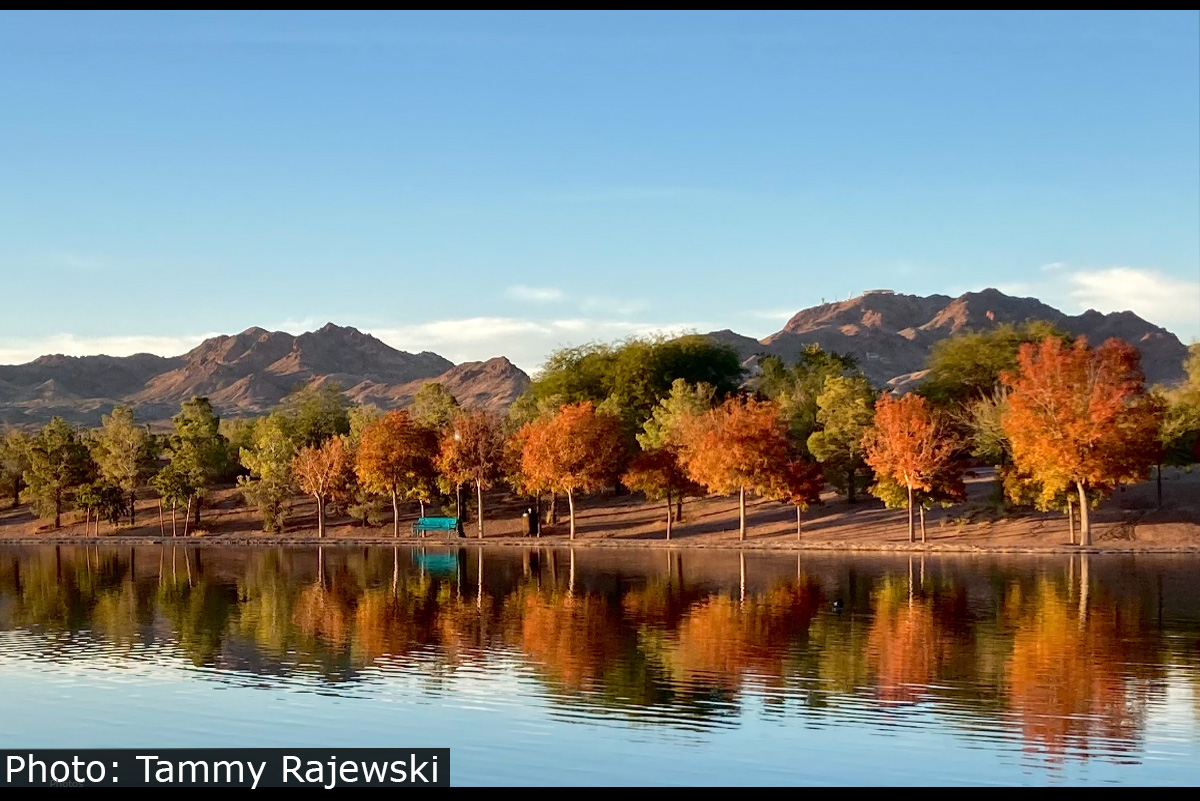 Fan Photo: November Colors