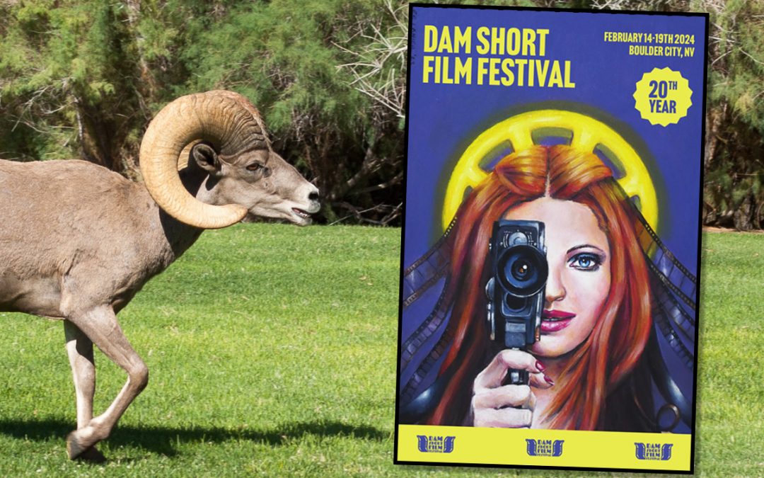 Dam Short Film Festival on Sale Today