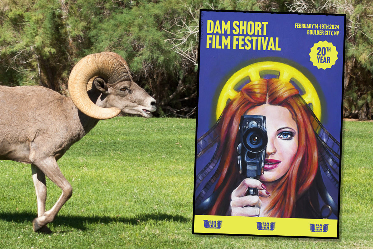 Dam Short Film Festival on Sale Today