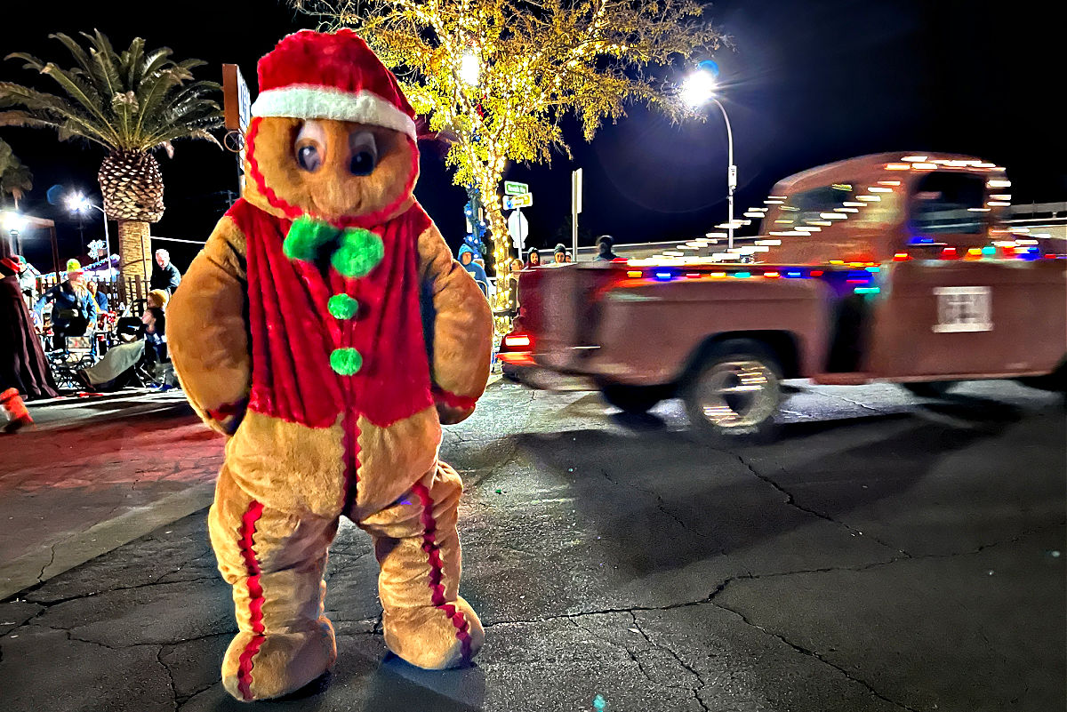 Fan Photo: GQ Gingerbread Man