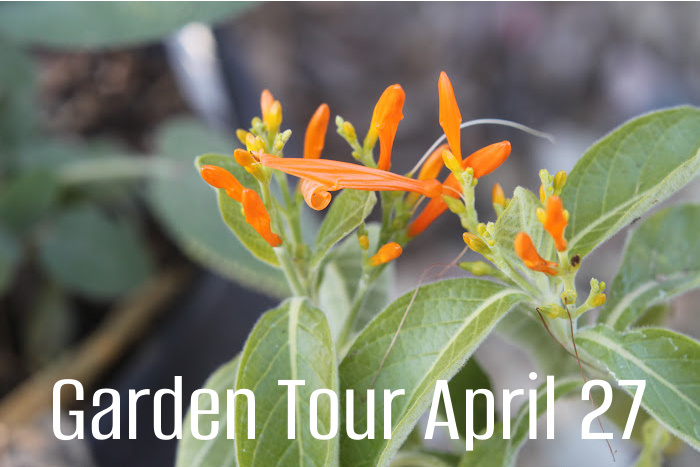 Fourth Annual Garden Tour Later This Month
