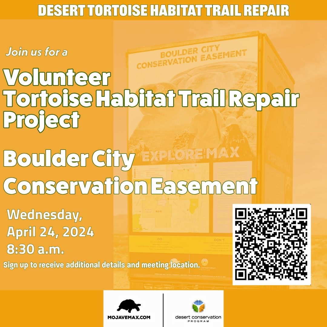 Habitat Repair Project Boulder City Nevada