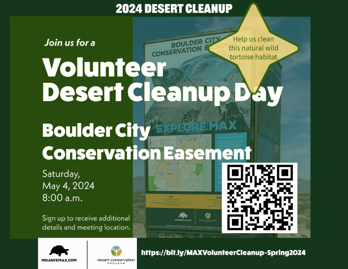 Cleanup in the Boulder City Conservation Easement