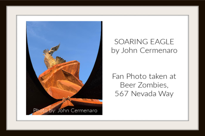 Fan Photo: Soaring Eagle by John Cermenaro