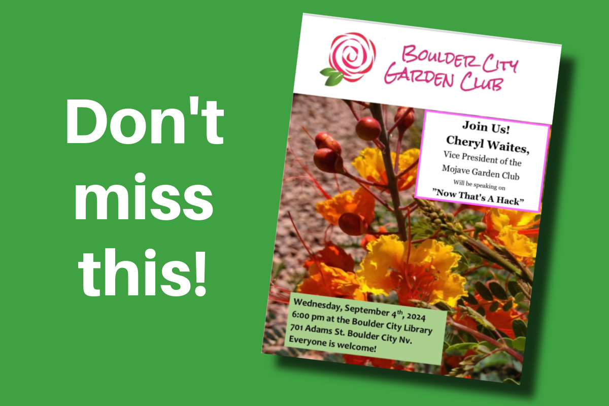 Digging Up Traditions at the Boulder City Garden Club