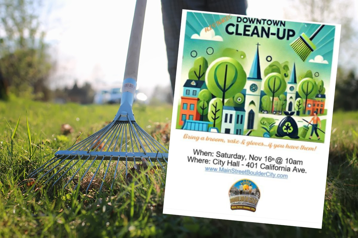 Downtown Cleanup November 16
