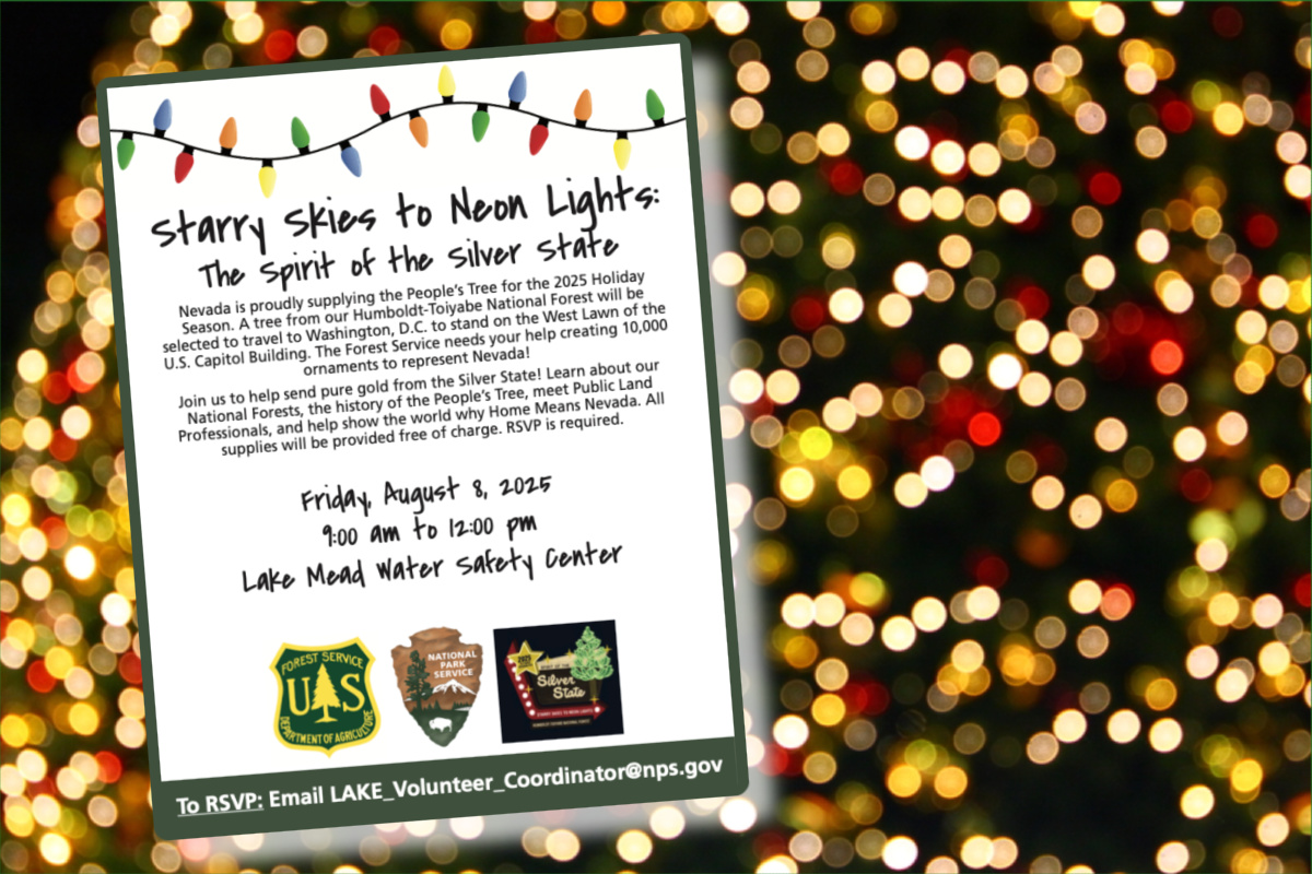 Capitol Christmas Tree Ornament Event