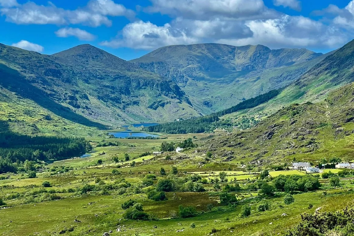 Irish04.jpg
