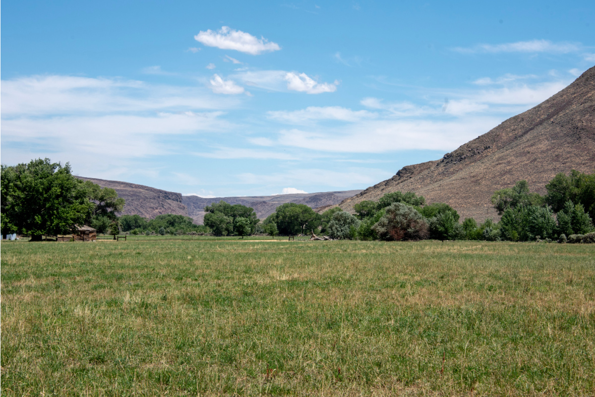 CarsonPark5.jpg