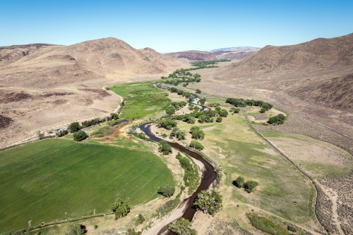 CarsonPark7.jpg