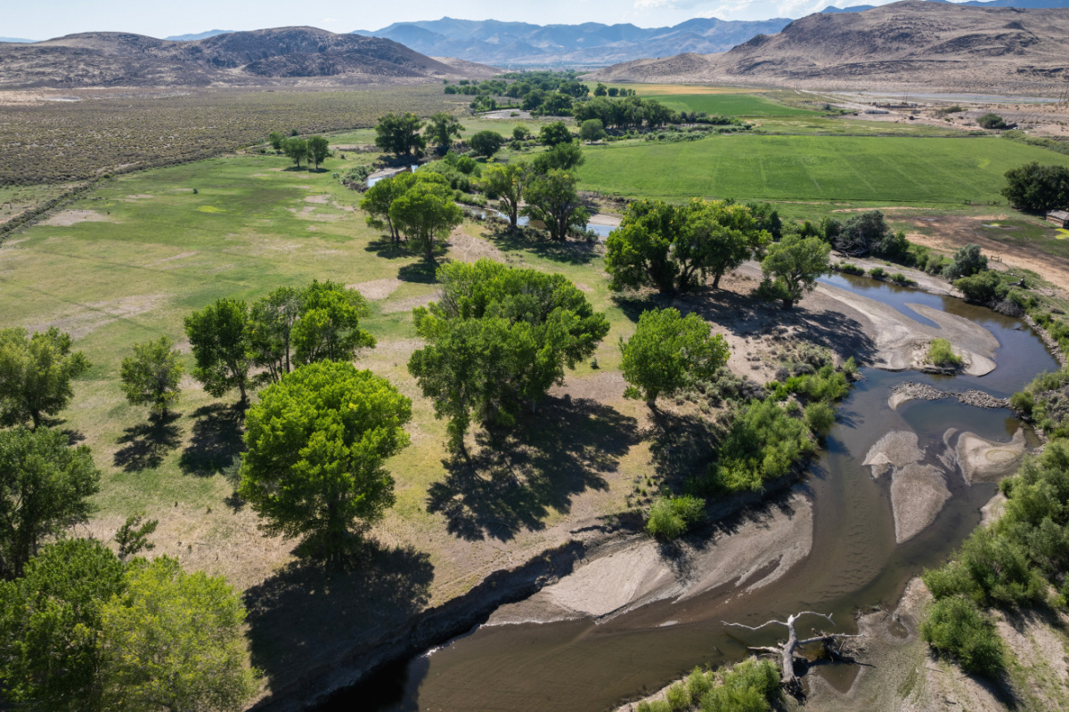 CarsonPark8.jpg