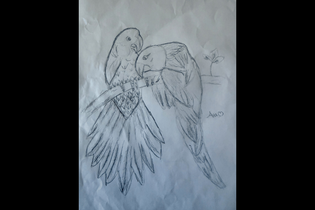 Work by the artist, Ava Snodgrass (courtesy of Lindy Christensen)