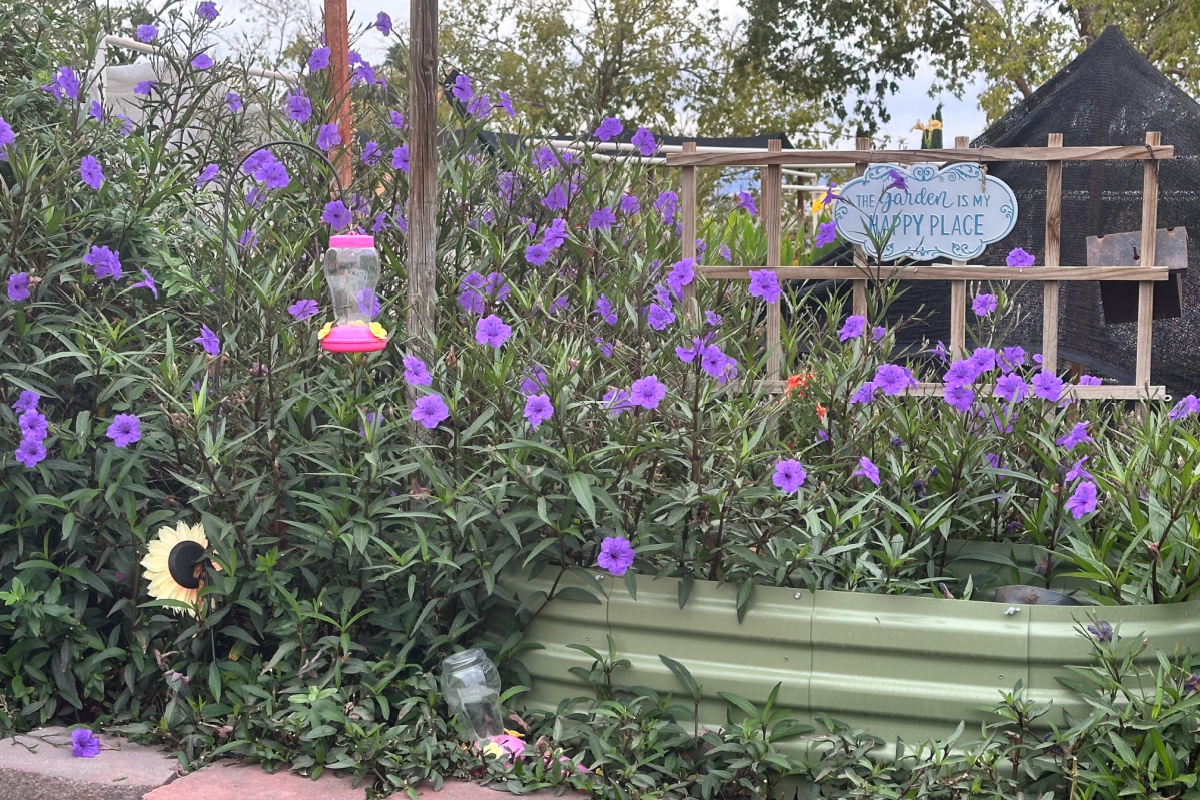 Annual Autumn Garden Festival Tomorrow, October 17